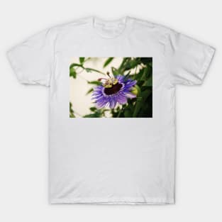 Purple Haze Passiflora T-Shirt